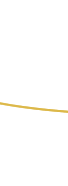 BioSlim - Natural Weight Loss System